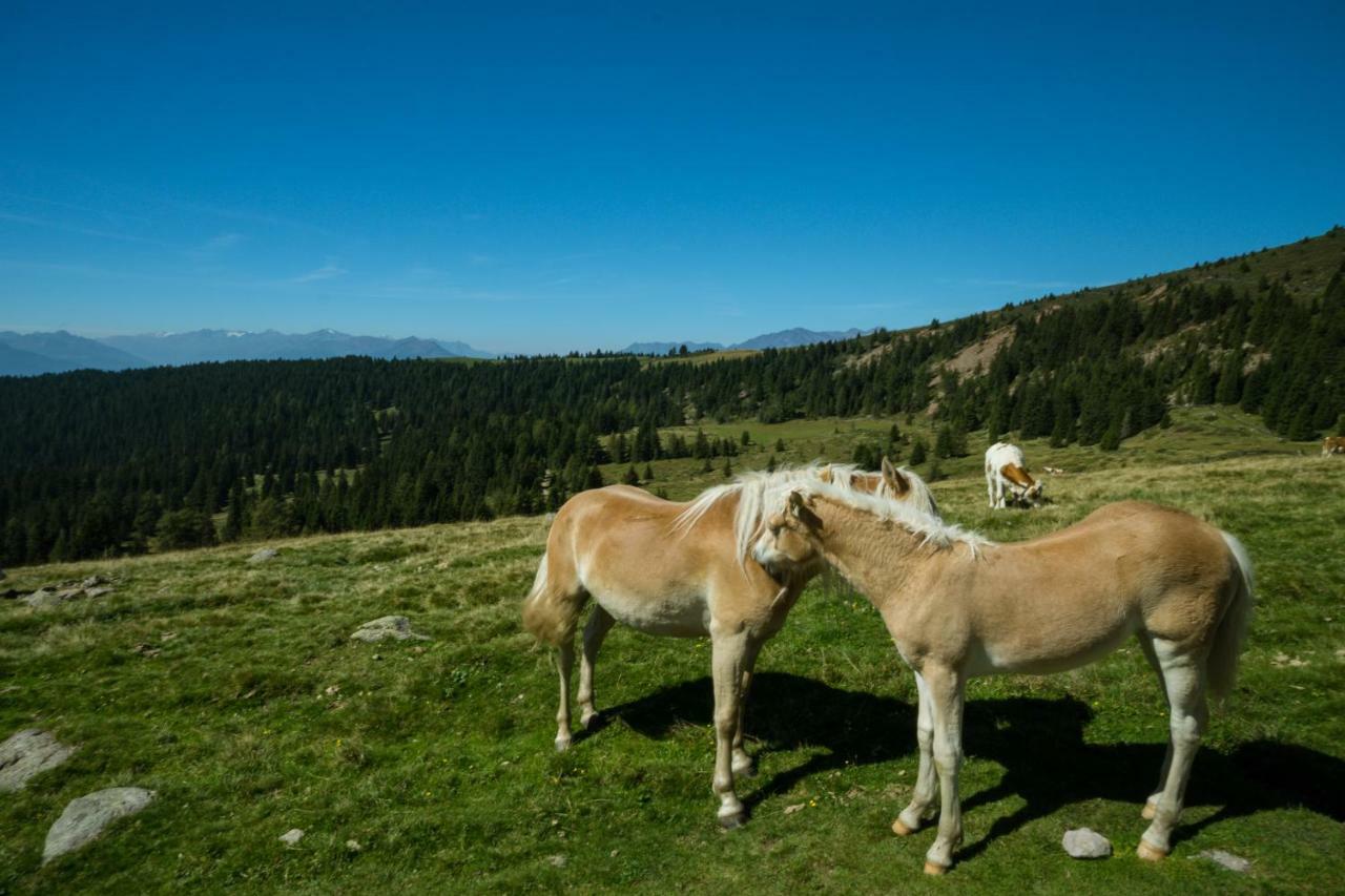 Haus Winkler Villa Vilpiano Bagian luar foto